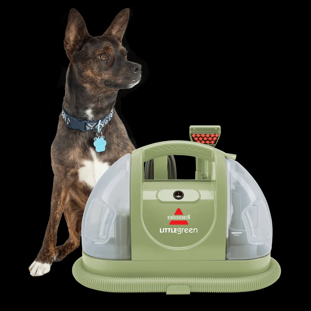 BISSELL Little Green Portable Carpet Cleaner