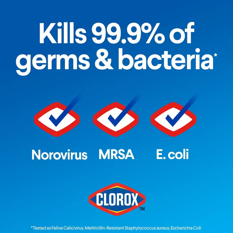 Clorox Regular Scent Germicidal Bleach 81 oz