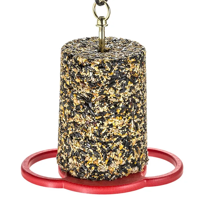 Duncraft All Birds Seed Cylinder Feeder