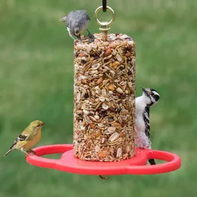 Duncraft All Birds Seed Cylinder Feeder