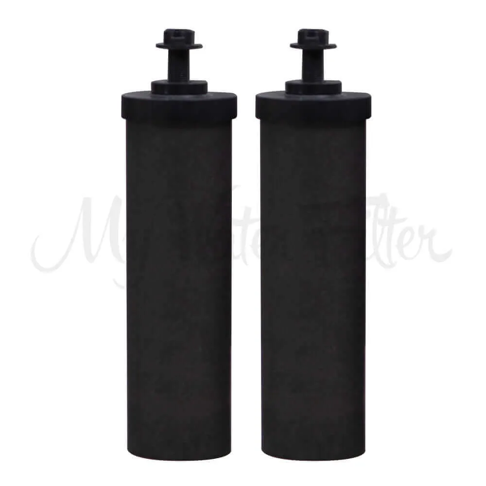 Filteroo® Stainless Steel Gravity Water Filter with Fluoride Removal