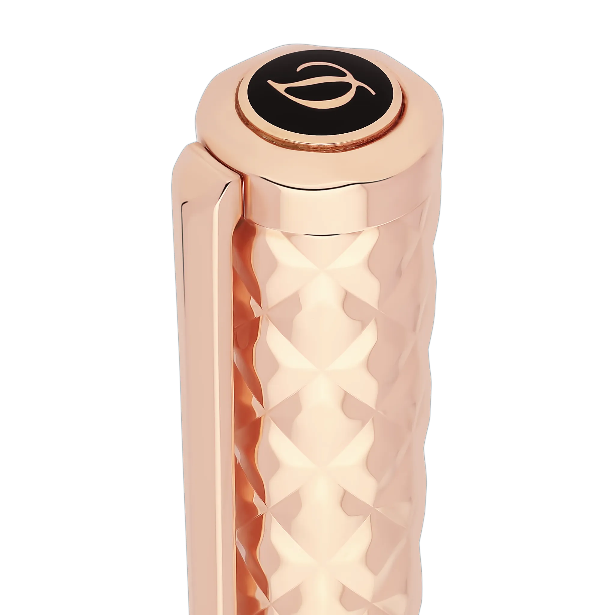 Fountain pen