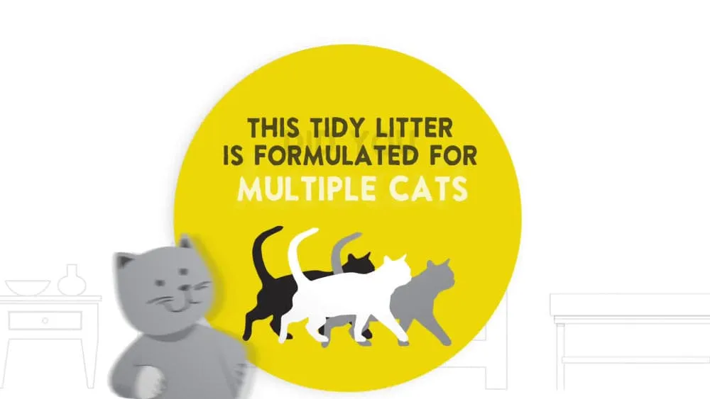 FRESH STEP #40 CLAY CAT LITTER 40LB - FSCCL40