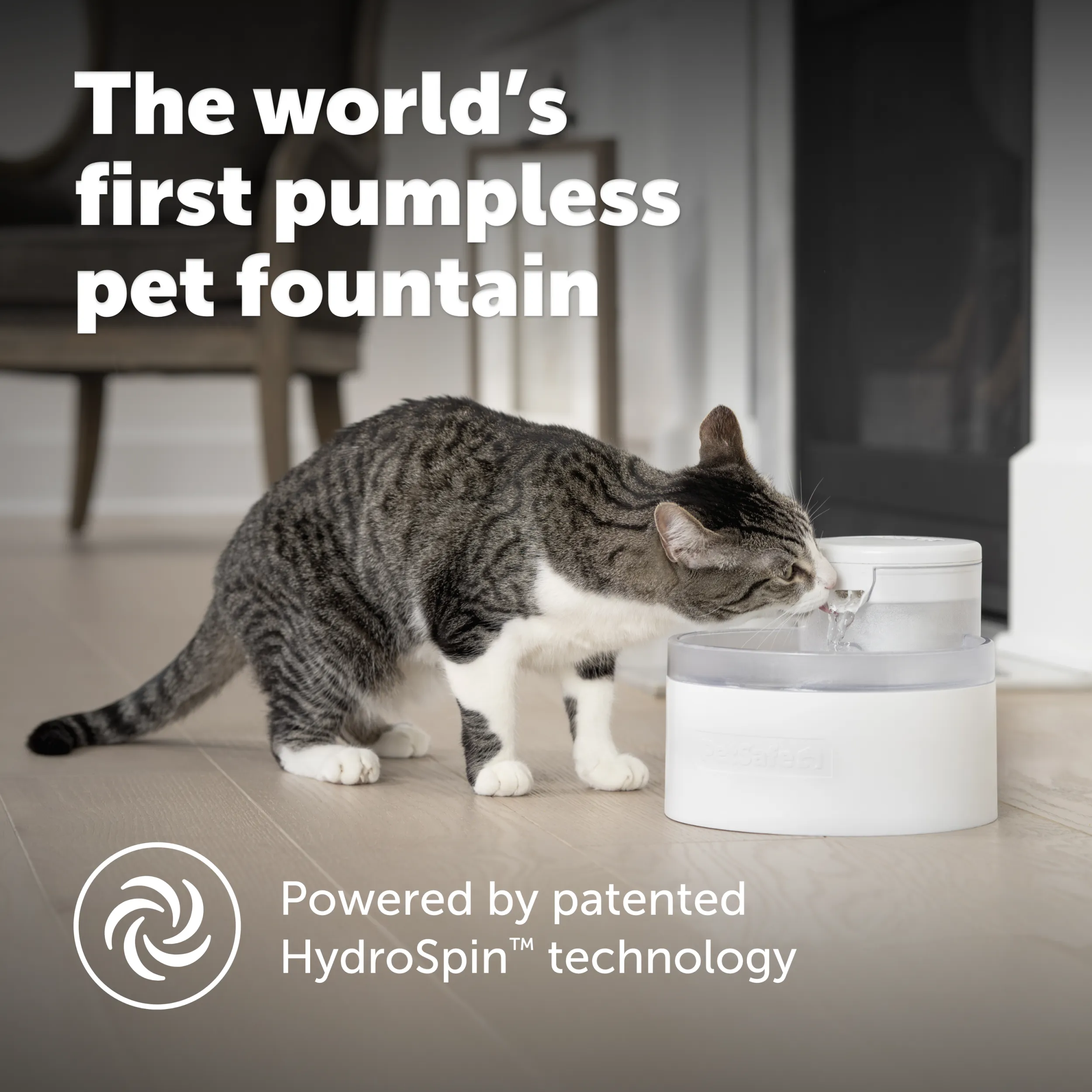 Outlast™ Cat Fountain, 60 oz