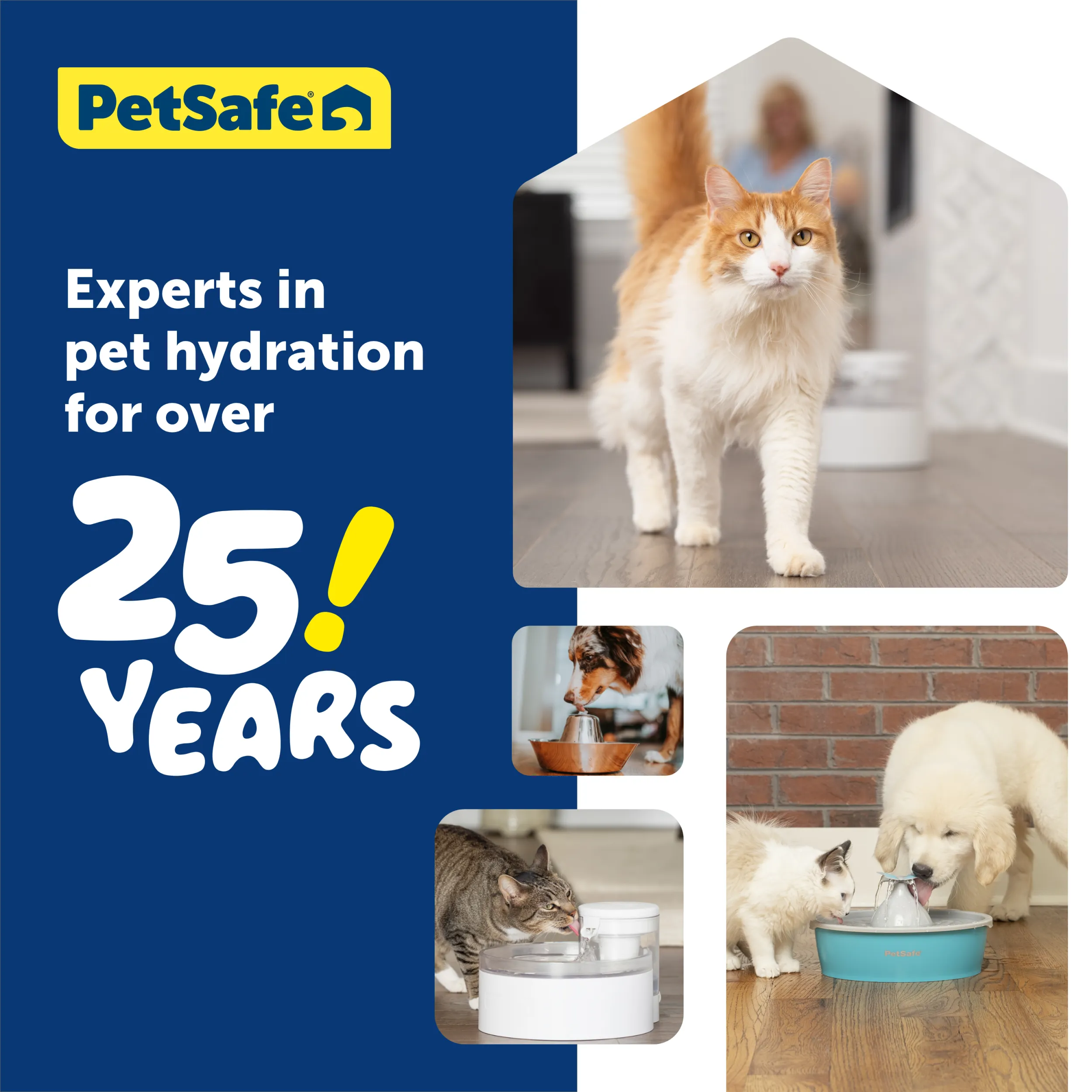 Outlast™ Cat Fountain, 60 oz