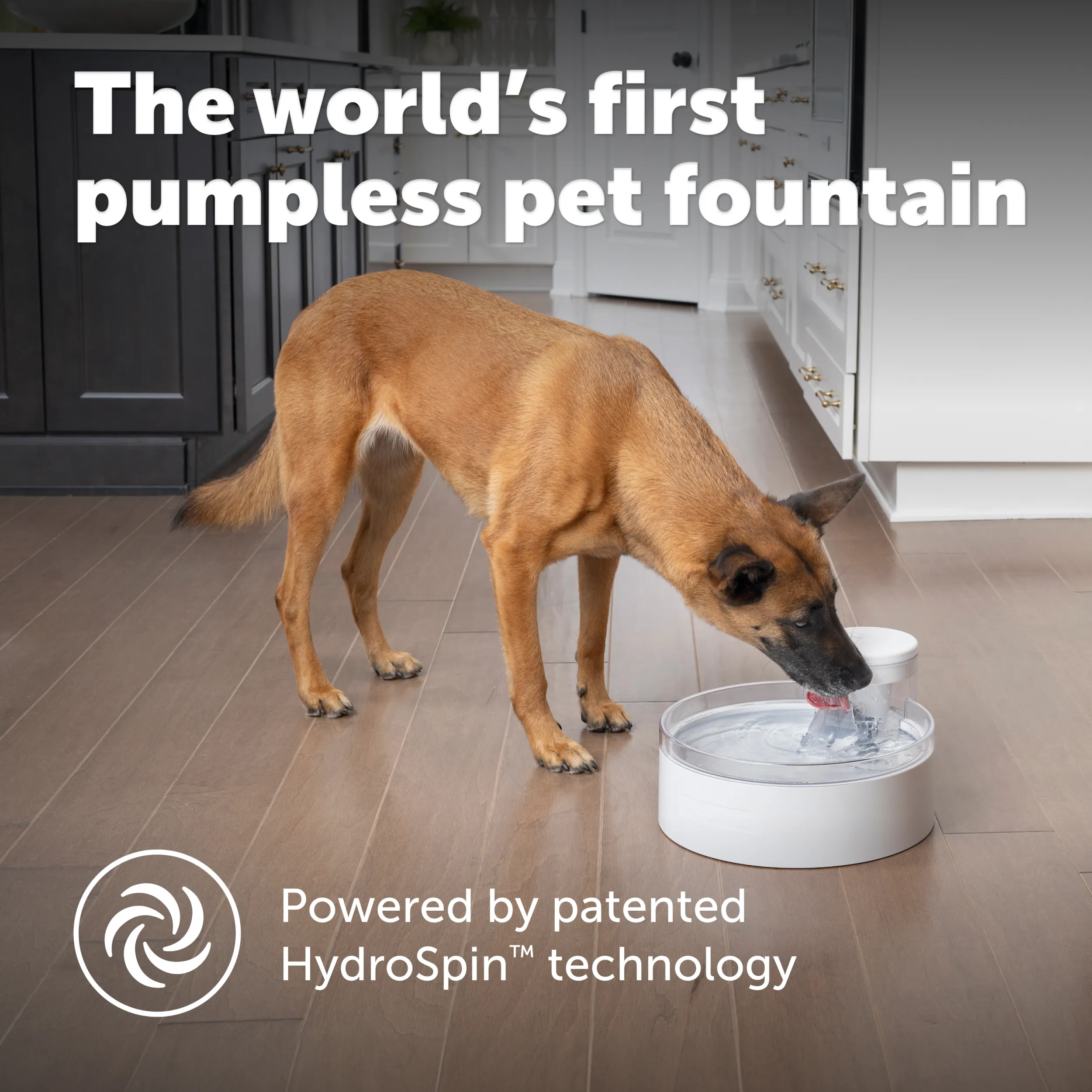 Outlast™ Dog Fountain, 128 oz