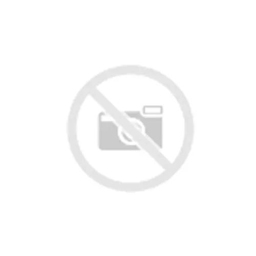 PL539 SIDECASE HARDWARE