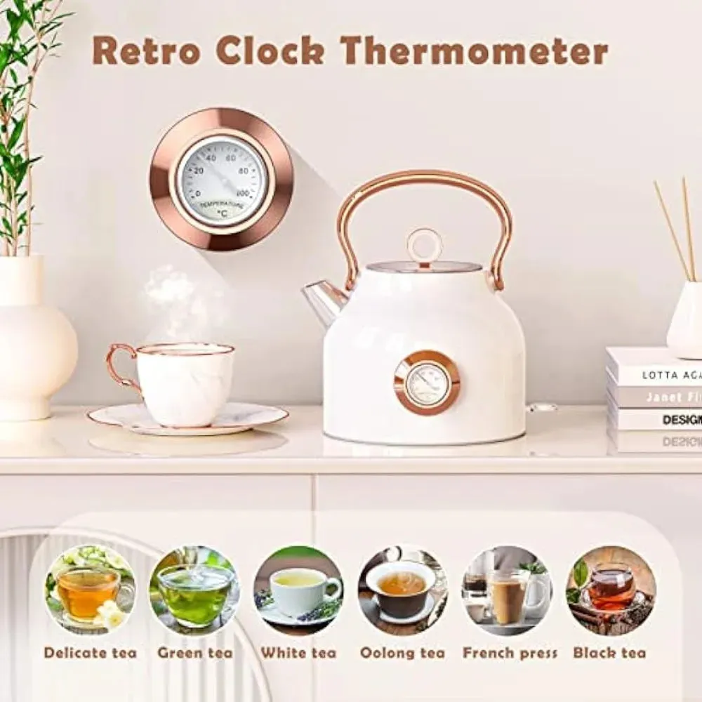 Retro Stainless Steel Tea Kettle with Large Temperature Gauge