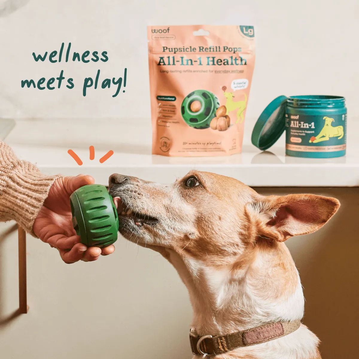 Wellness Pops & Chews Pack