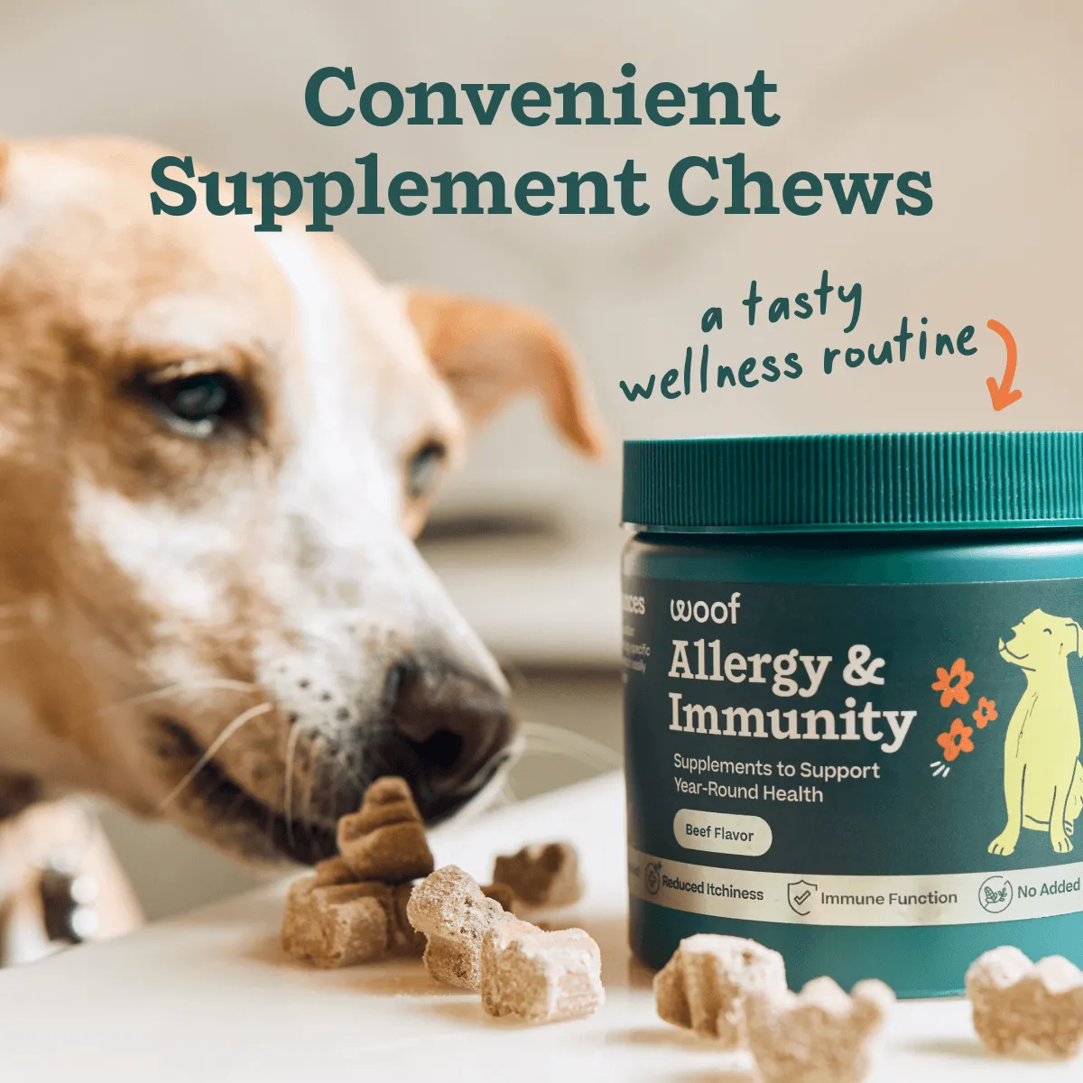 Wellness Pops & Chews Pack
